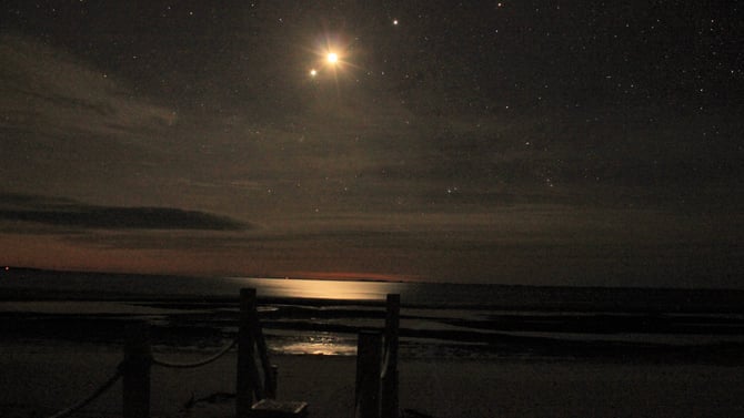 Moonshine