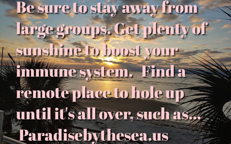 Sunset over ocean with palm fronds, overlaid with text about vacation travel advice