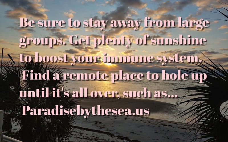 Sunset beach scene with palm fronds, sandy shore, and ocean with text overlay about vacation advice